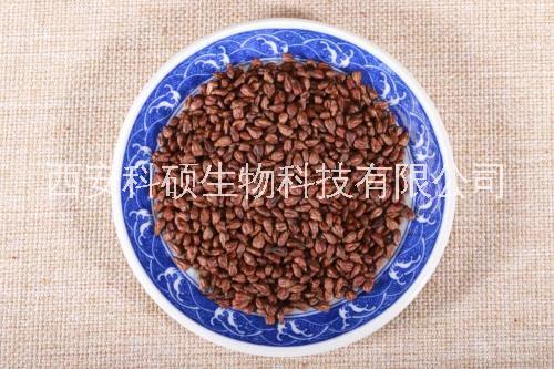 科碩生物葡萄籽提取物95%原花青素