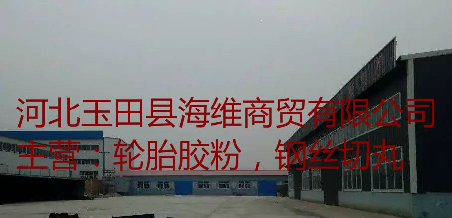 供應用于的100目輪胎膠粉