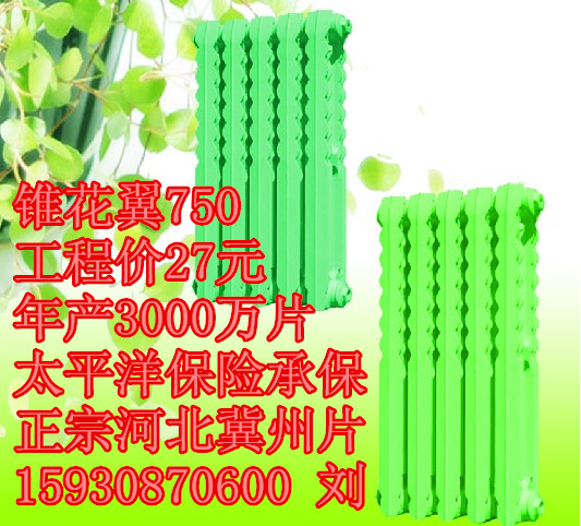 供應(yīng)鑄鐵錐花翼750散熱器 錐花藝暖氣片 山西錐花翼750散熱器