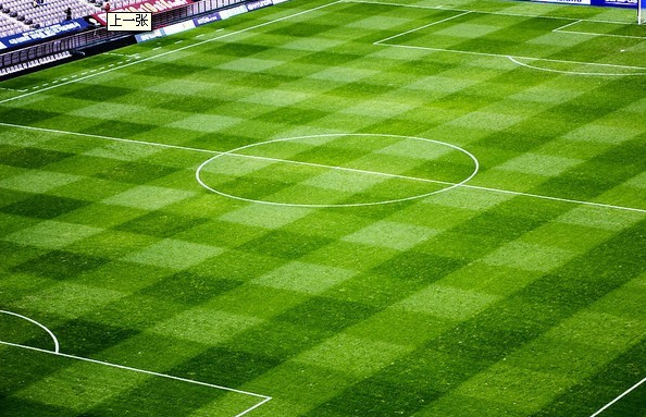 塑膠草球場施工