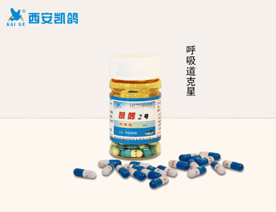 供應(yīng)鴿藥.【凱鴿2號(hào)加強(qiáng)型500粒/瓶】