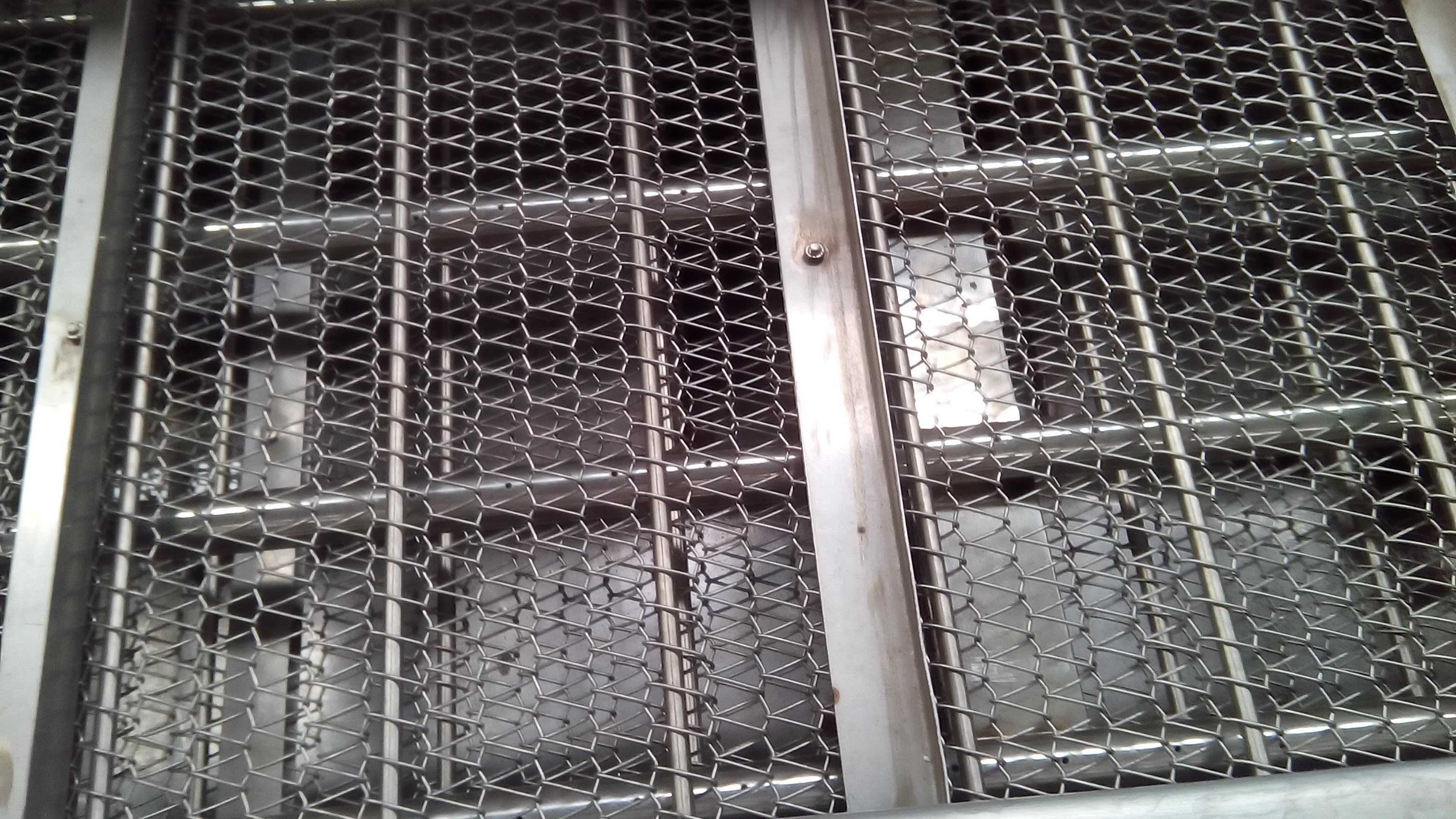 供應(yīng)廠家*用于清洗海蜇的海蜇清洗機(jī)