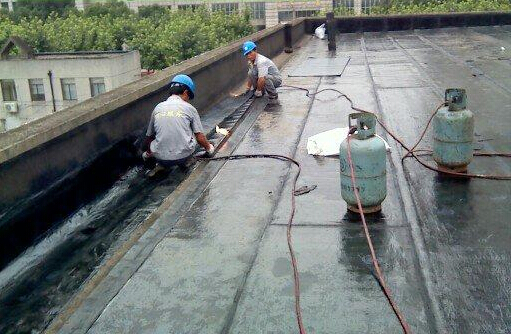 供應(yīng)觀瀾防水觀瀾防水補(bǔ)漏觀瀾防水補(bǔ)漏公司15920051600