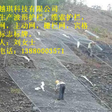 供應(yīng)陜西主動(dòng)網(wǎng)廠家直銷