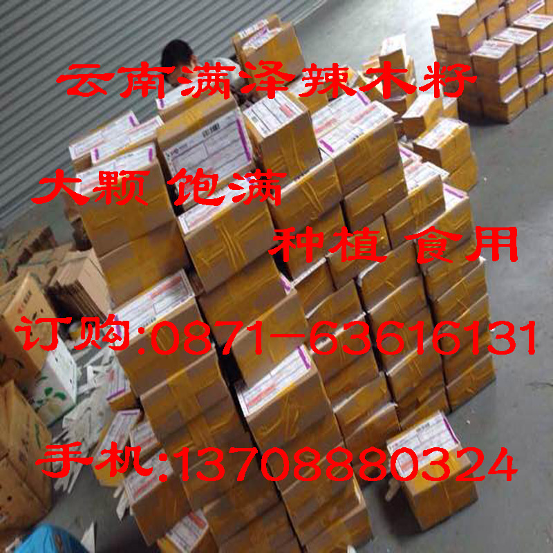 江蘇辣木籽專賣店，江蘇辣木籽種植 食用批發(fā)，辣木籽基地，蘇州辣木籽，江蘇辣木籽哪里買，江蘇辣木葉，技術(shù)辣木粉
