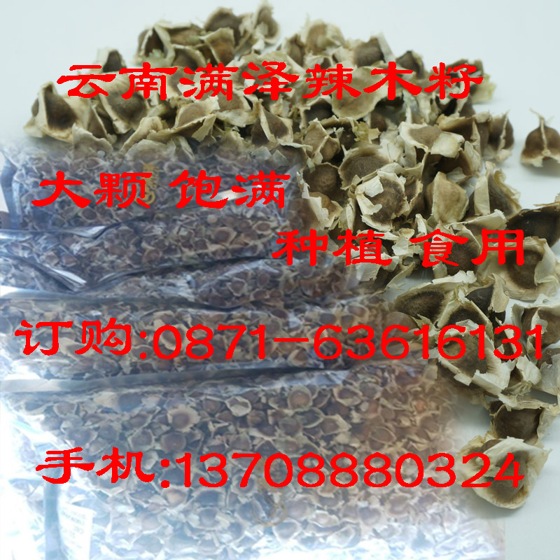 江蘇辣木籽專賣店，江蘇辣木籽種植 食用批發(fā)，辣木籽基地，蘇州辣木籽，江蘇辣木籽哪里買，江蘇辣木葉，技術(shù)辣木粉