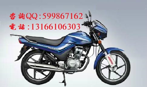 供應(yīng)新大洲本田SDH125-53/53A 銳彪摩托車