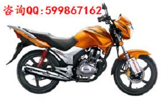 供應(yīng)新大洲SDH125-51/51A CBF125摩托車
