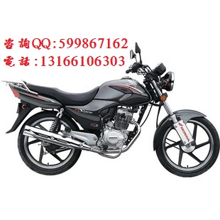 供應(yīng)新大洲本田125-46C金銳箭圓燈版摩托車(chē)