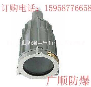 供應(yīng)BSD51系列防爆視孔燈(ⅡB、ⅡC、DI