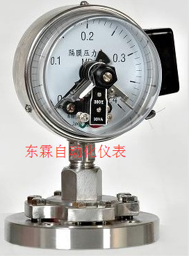供應(yīng)隔膜壓力表 Y-60BF/ML
