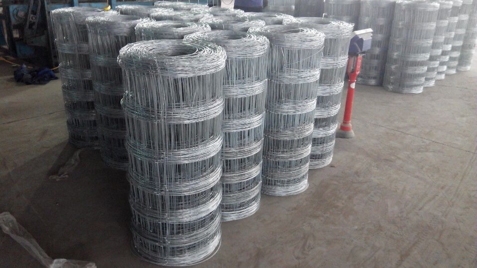 草原牛欄網(wǎng)/圈羊鐵絲圍網(wǎng)/牧場(chǎng)圍網(wǎng)廠家批發(fā)