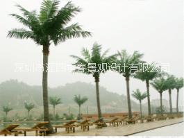 供應(yīng)仿真椰子樹(shù)  椰子樹(shù)廠家制作