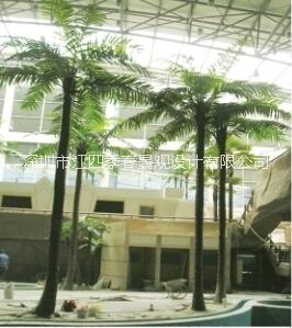 供應(yīng)仿真椰子樹(shù)  椰子樹(shù)廠家制作