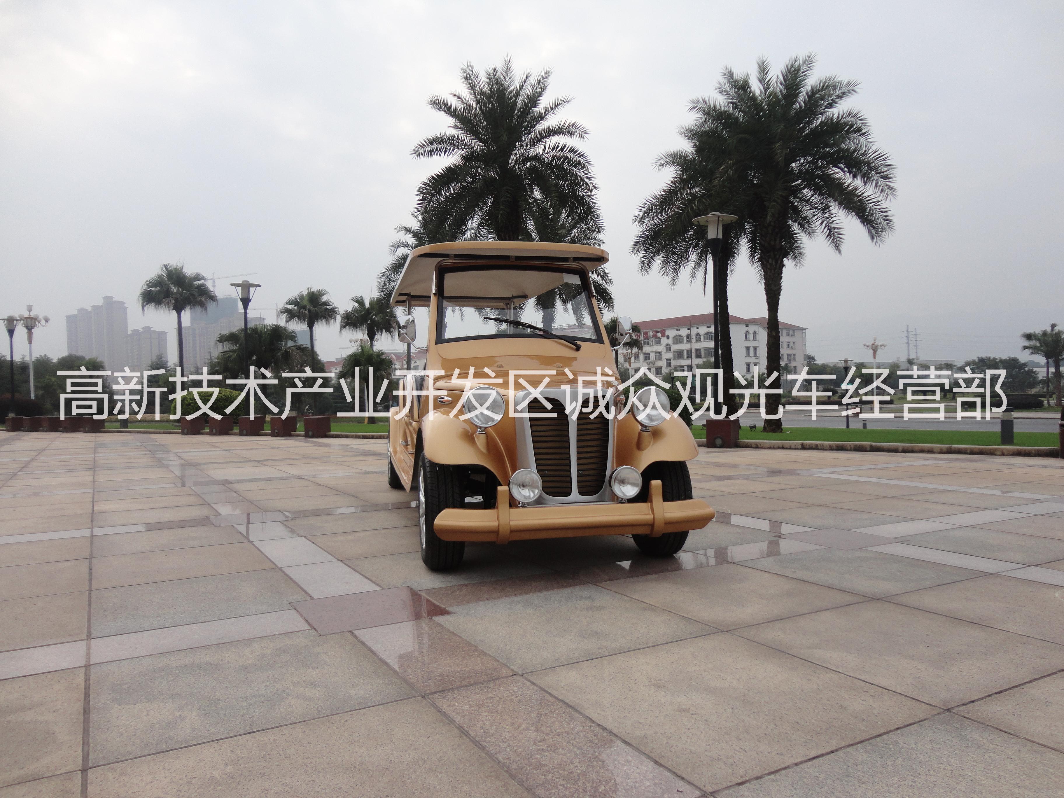 供應(yīng)*專用電動(dòng)看房車