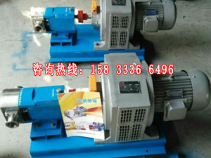 供應(yīng)石家莊凸輪轉(zhuǎn)子泵,凸輪式雙轉(zhuǎn)子泵,LB凸輪式轉(zhuǎn)子泵