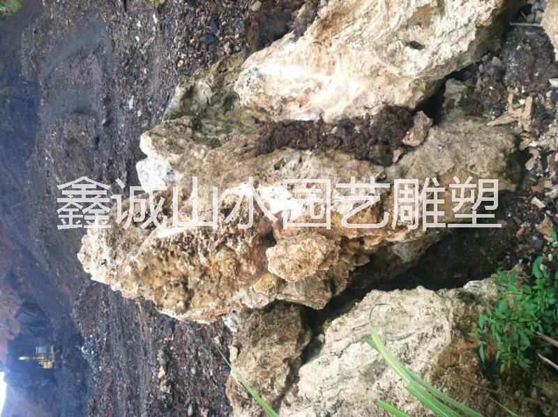 供應(yīng)用于盆景的吸水石供應(yīng)公司