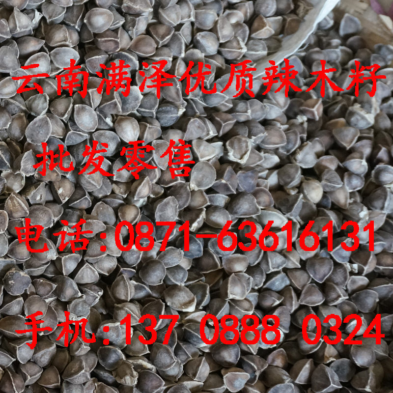 云南*辣木籽食用種植降三高，云南滿澤*非洲辣木籽，*天然辣木籽，辣木籽的功效與作用，昆明辣木籽有什么藥用價(jià)值