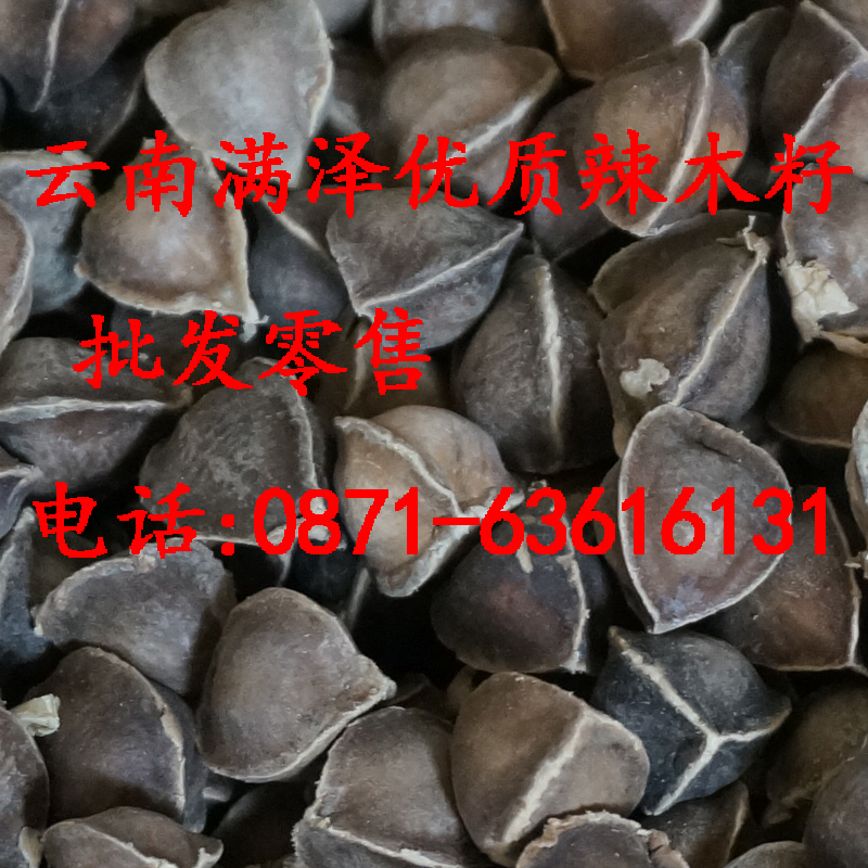 云南*辣木籽食用種植降三高，云南滿澤*非洲辣木籽，*天然辣木籽，辣木籽的功效與作用，昆明辣木籽有什么藥用價(jià)值