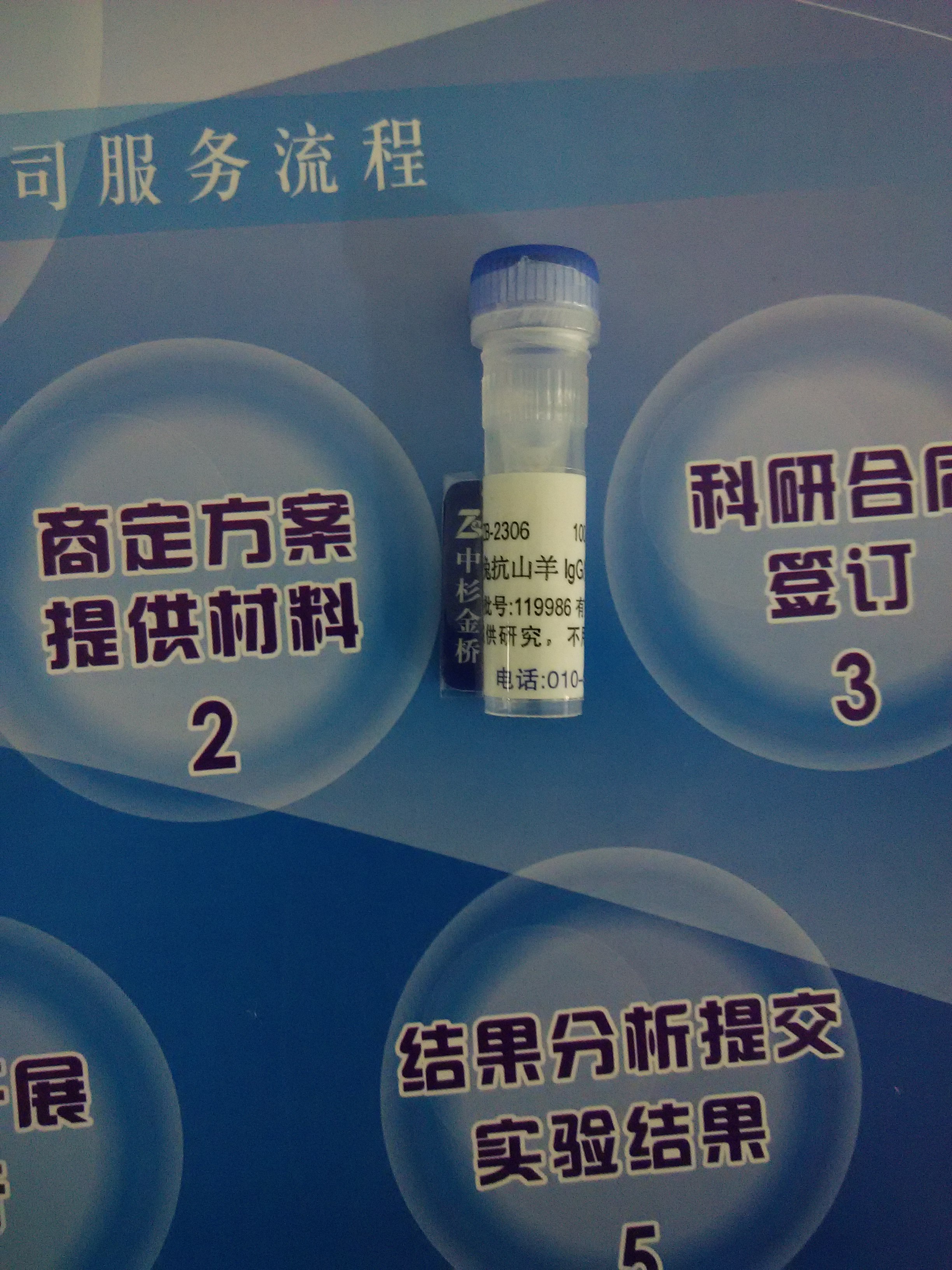 供應(yīng)辣根酶標(biāo)記兔抗山羊IgG 中杉金橋 ZB-2306 量大更優(yōu)惠 現(xiàn)貨供應(yīng) 生物試劑