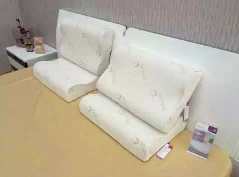 供應(yīng)保健枕的生產(chǎn)廠家 保健枕*的廠家