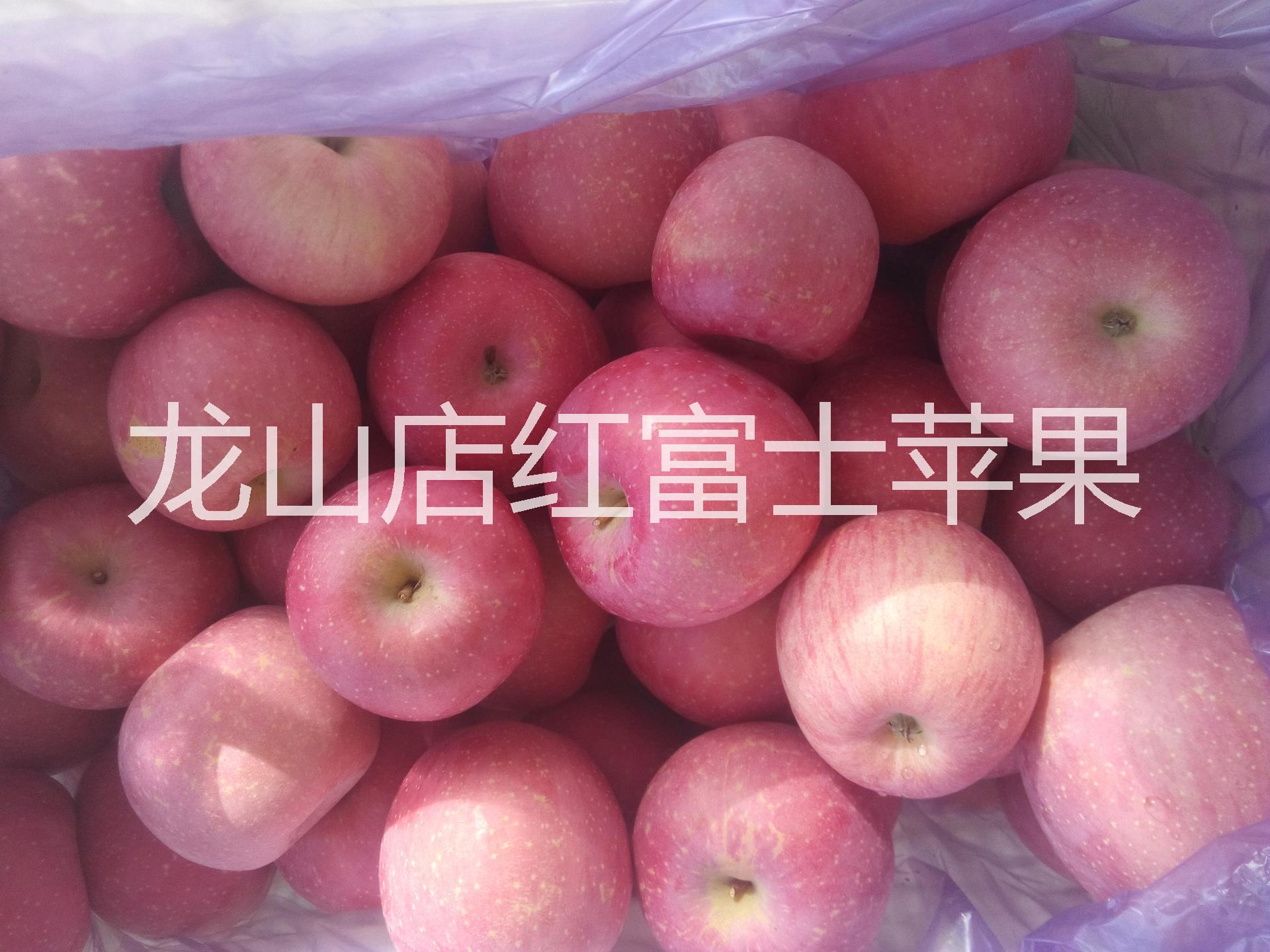供應(yīng)用于原生態(tài)綠色食的蓬萊龍山店蘋果*