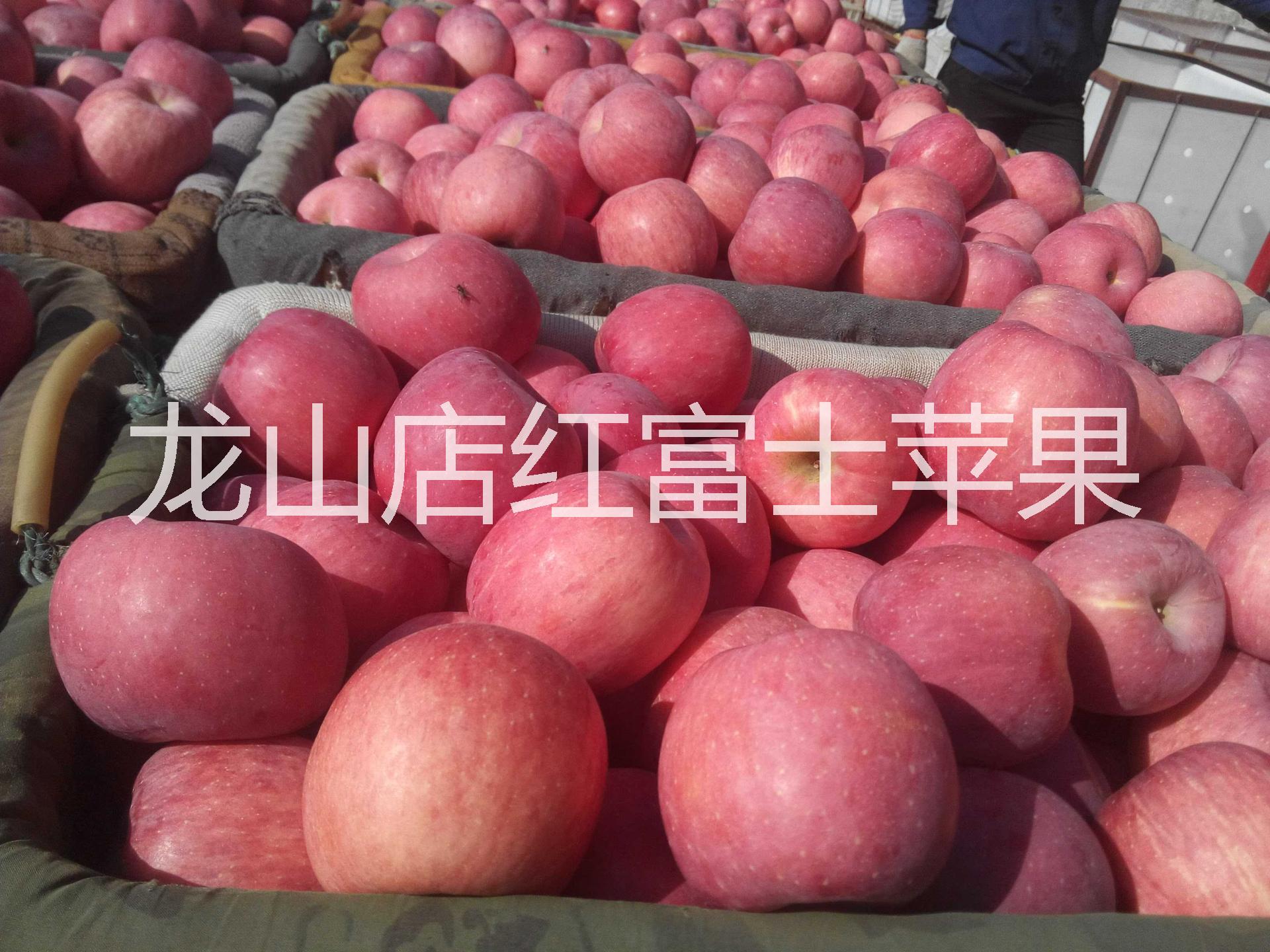 供應用于的蓬萊蘋果*