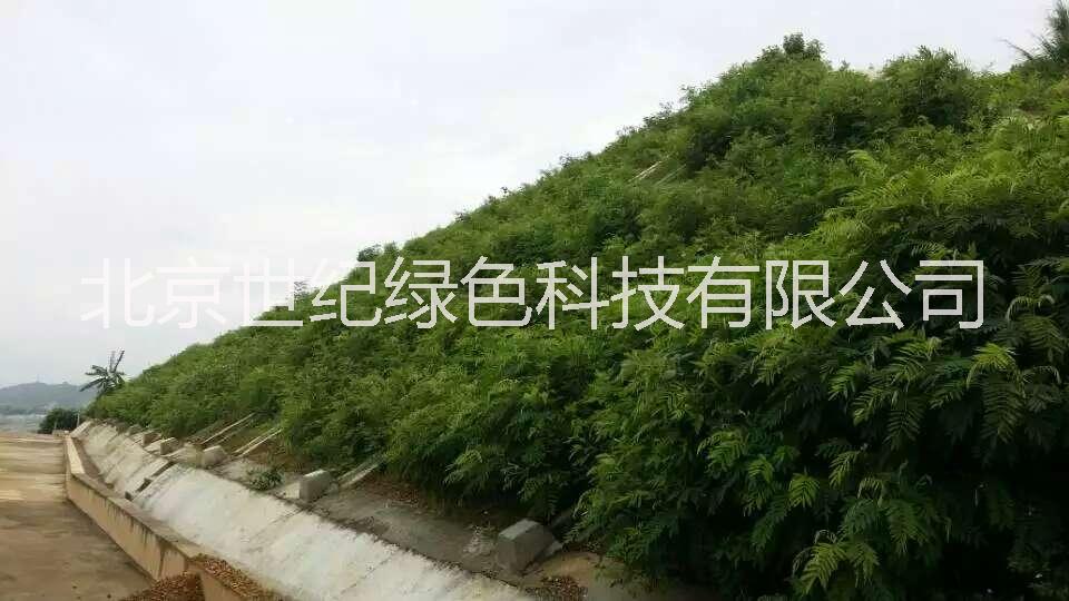 供應(yīng)邊坡生態(tài)防護(hù)工程