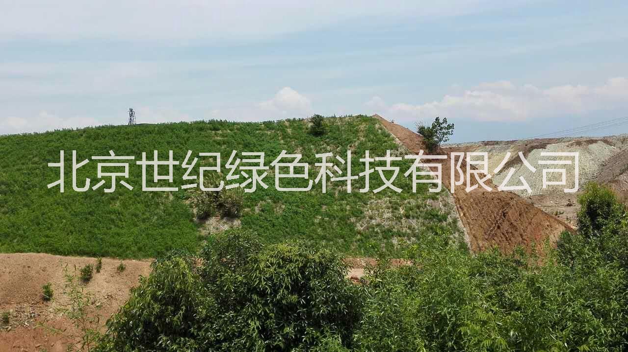 供應(yīng)邊坡生態(tài)防護(hù)工程