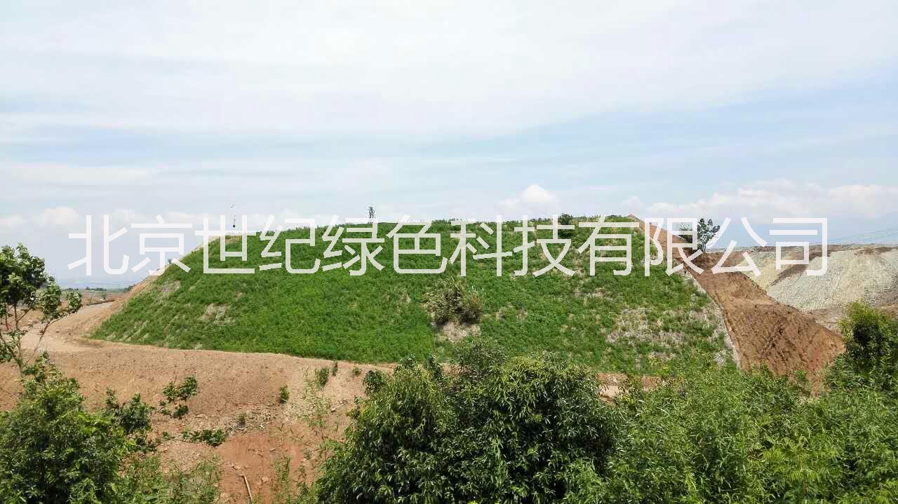 供應(yīng)邊坡生態(tài)防護(hù)工程