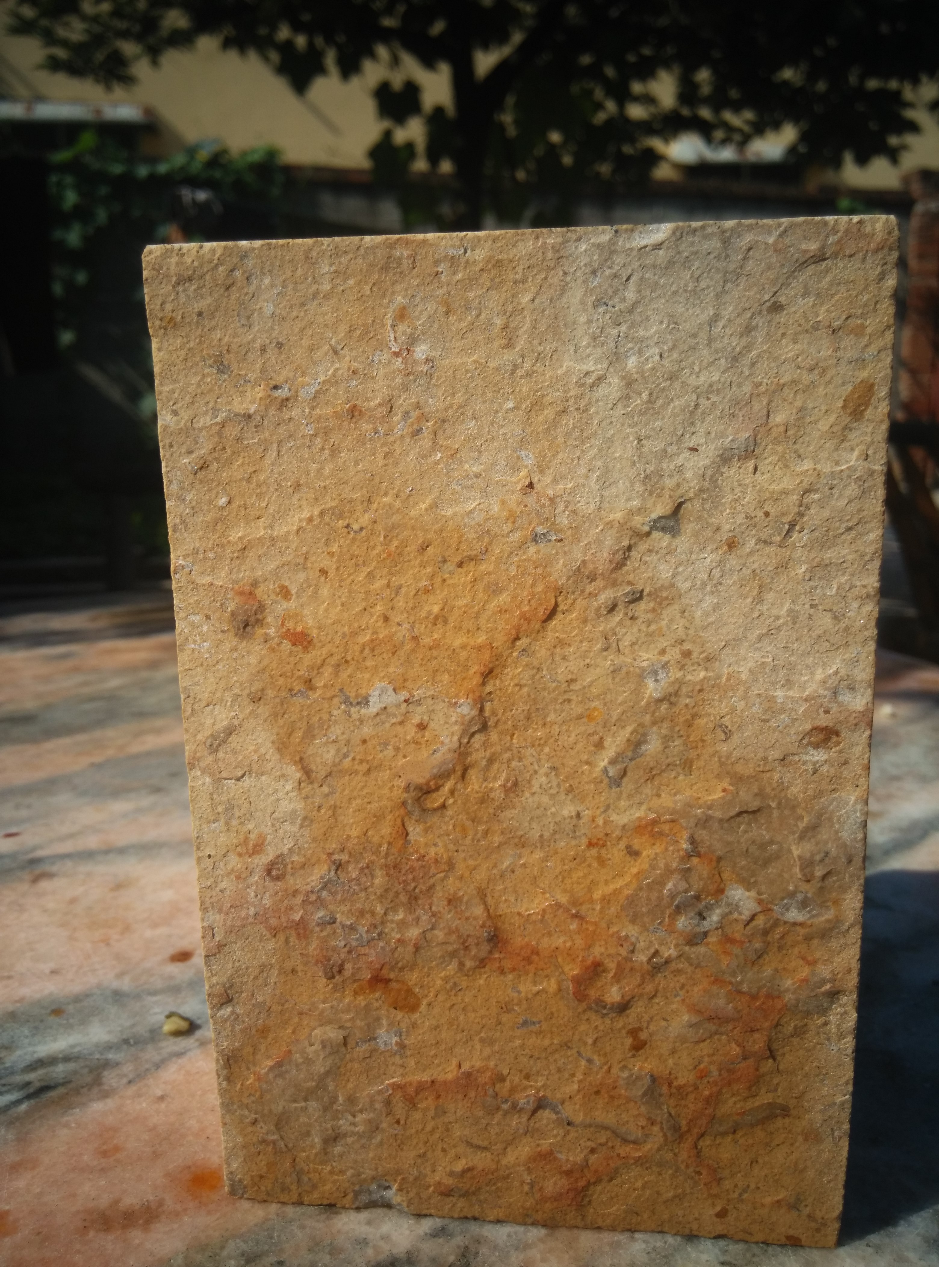 河南黃洞石外墻磚批發(fā)