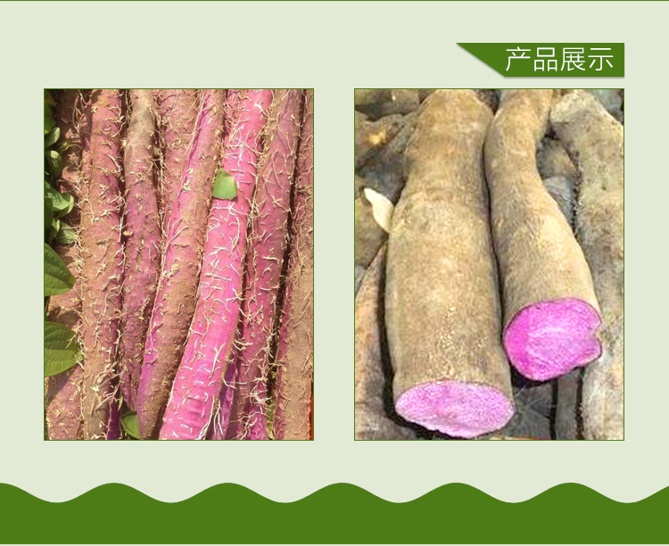 紫淮山種植 廣東哪里種植紫淮山 廣東哪里批發(fā)紫淮山 紫淮山批發(fā)價格 種植，紫淮山批發(fā)價格，哪里有賣紫淮山