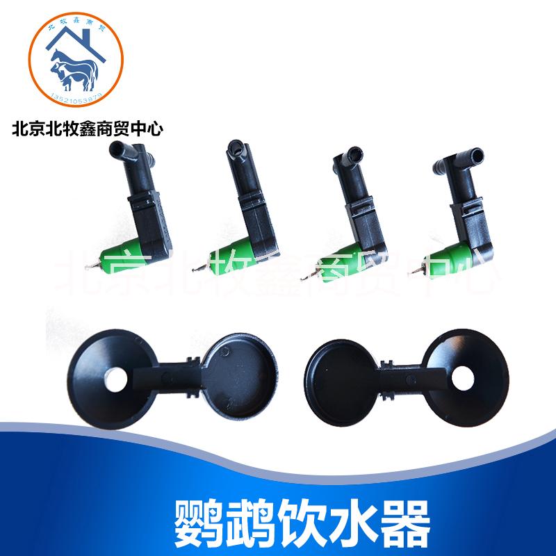 廠家直銷 鸚鵡飲水器 鳥類自動(dòng)飲水器 鳥用品批發(fā)