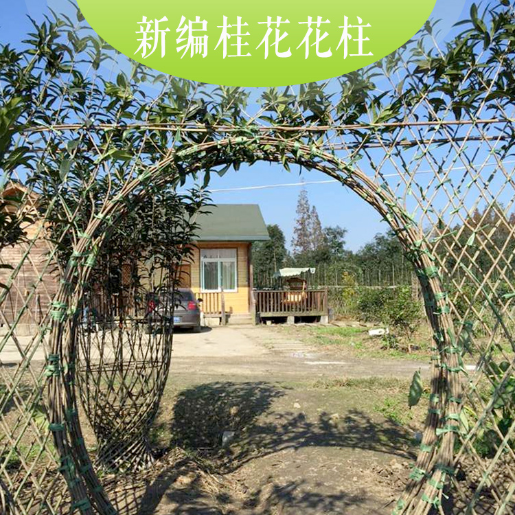 供應(yīng)新編桂花花柱.花瓶優(yōu)質(zhì)新編桂花花柱.花瓶