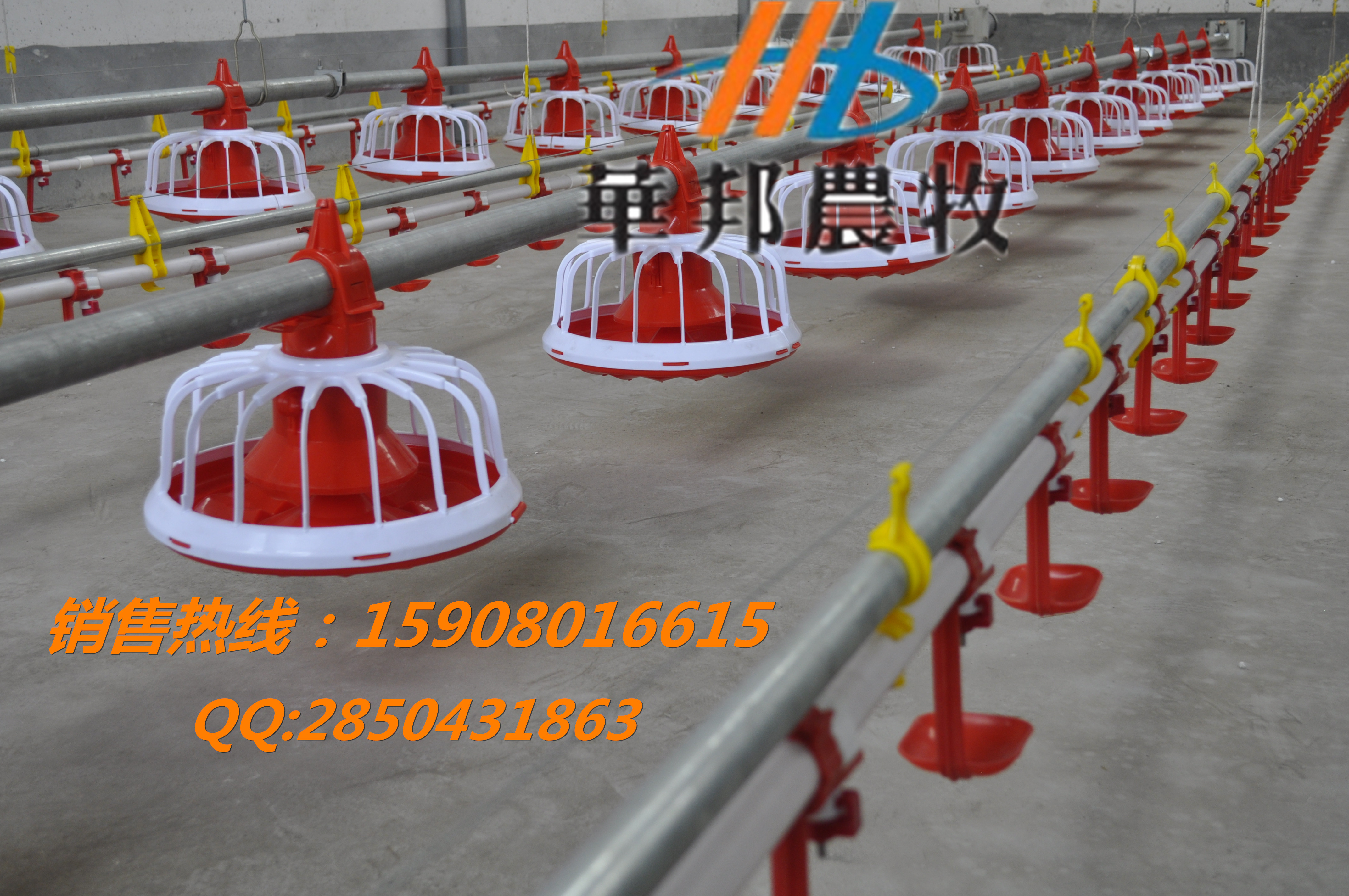 供應肉雞喂料機 養(yǎng)雞設(shè)備自動化廠家青