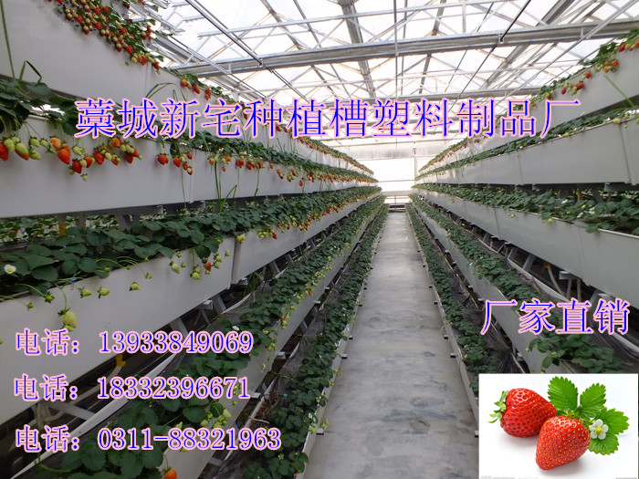 供應(yīng)草莓種植槽草莓無土栽培槽
