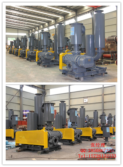 供應(yīng)魯氏風(fēng)機(jī)|低噪音魯氏風(fēng)機(jī)|三葉魯氏風(fēng)機(jī)/魯氏鼓風(fēng)機(jī)/魯氏鼓風(fēng)機(jī)