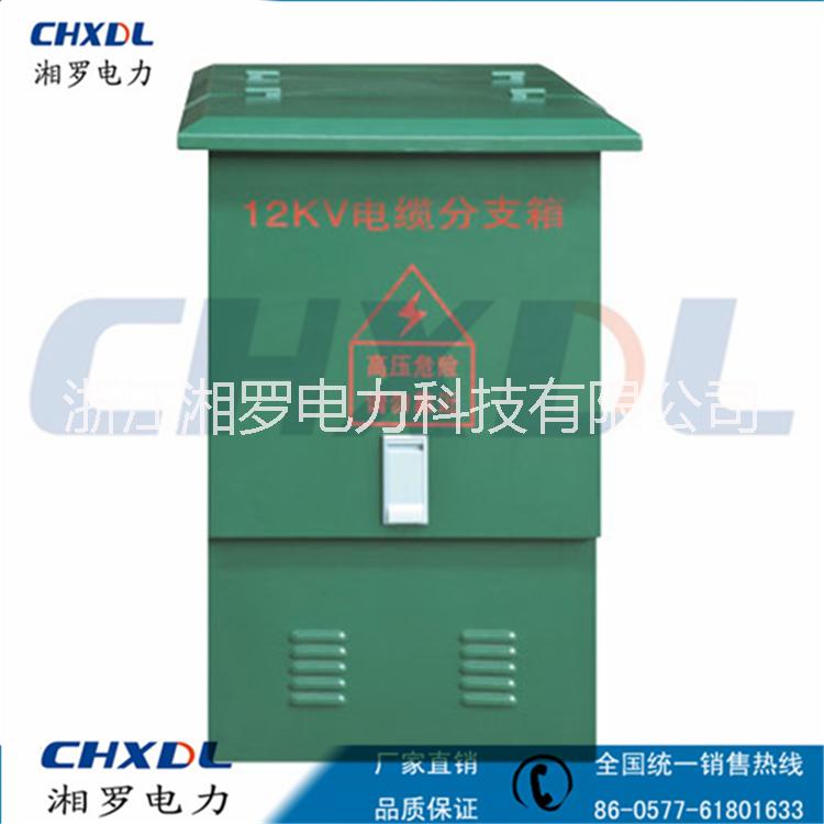 供應(yīng)歐式10kv高壓電纜分支箱環(huán)網(wǎng)柜計(jì)量柜
