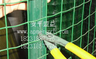 供應(yīng)養(yǎng)殖圍欄網(wǎng)。圈地、圈山圍欄網(wǎng)批發(fā)