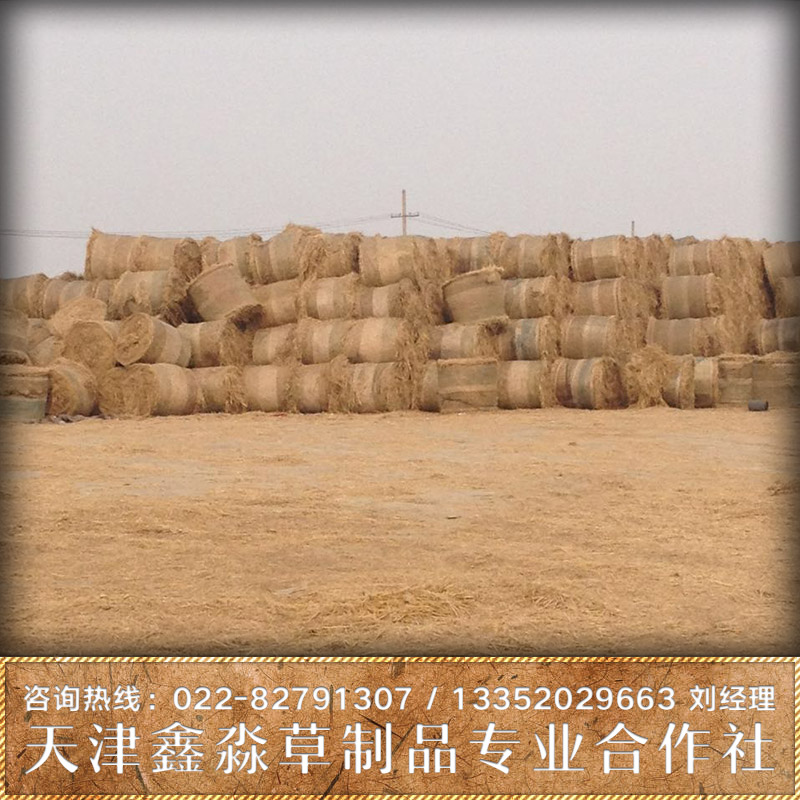 供應(yīng)稻草批發(fā)  稻草價(jià)錢 稻草廠家批發(fā) 稻草廠家直銷