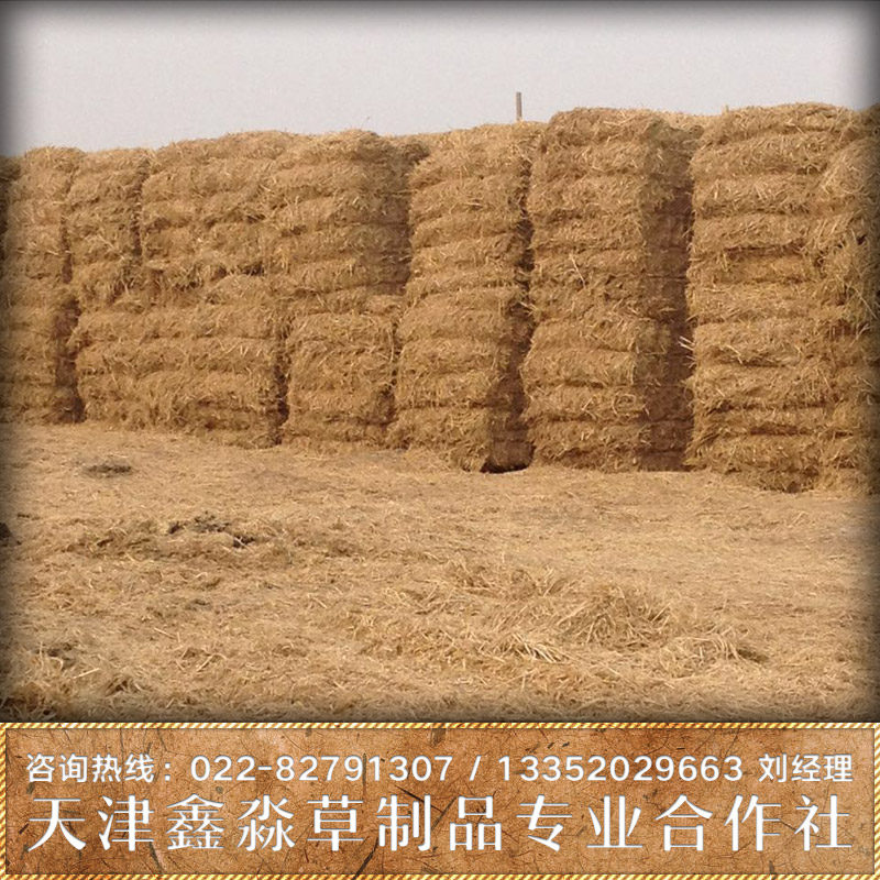供應(yīng)稻草批發(fā)  稻草價(jià)錢 稻草廠家批發(fā) 稻草廠家直銷
