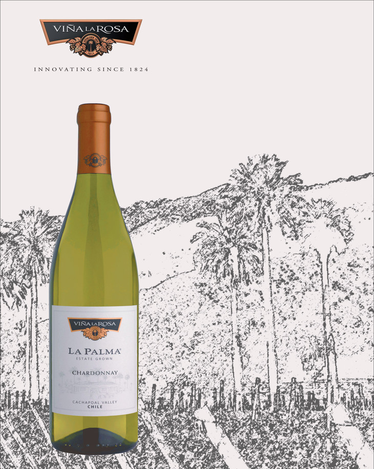 供應(yīng)棕櫚白蘇維翁白葡萄酒長相思白葡萄酒批發(fā)