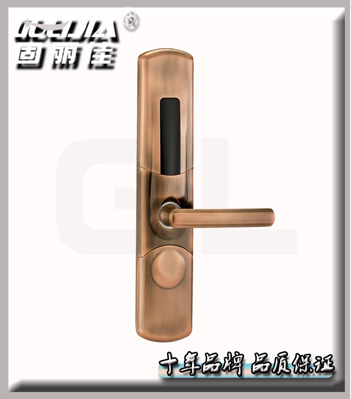 廠家直接供應(yīng)家庭防盜門鎖智能指紋門鎖指紋密碼鎖