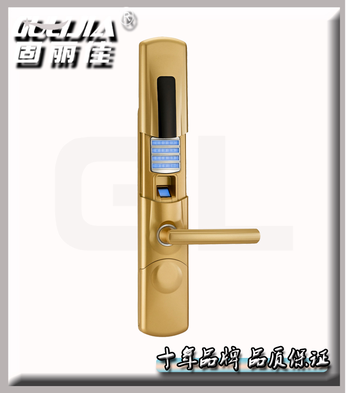 廠家直接供應(yīng)家庭防盜門鎖智能指紋門鎖指紋密碼鎖