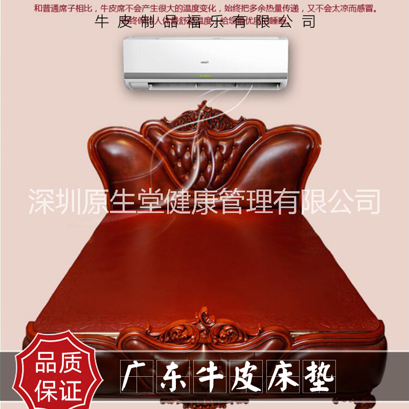 供應GD廣東牛皮床墊