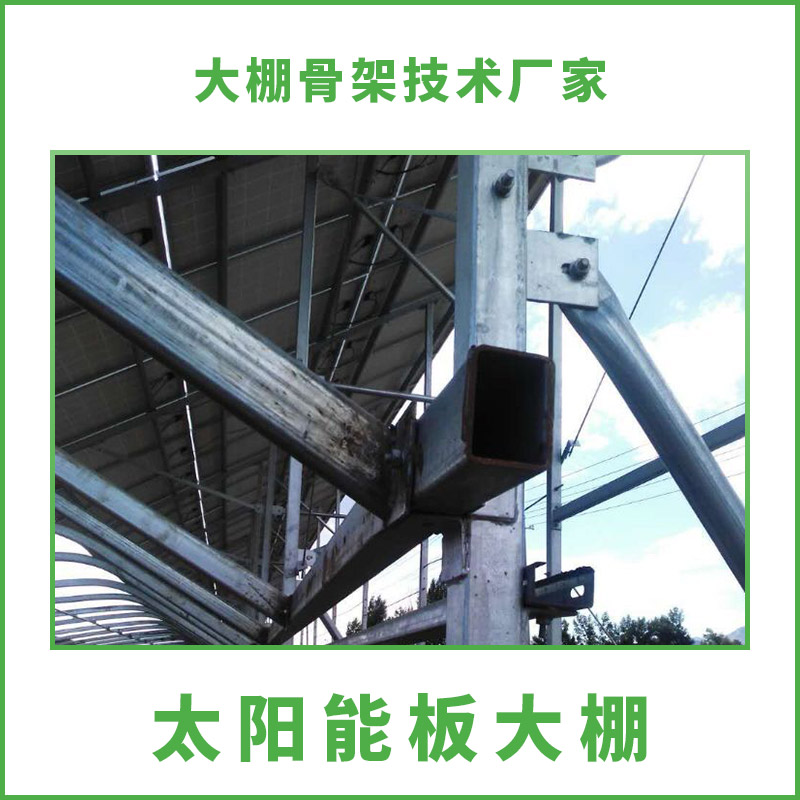 供應(yīng)太陽能板大棚 農(nóng)業(yè)太陽能板大棚技術(shù) 遮陽太陽能板大棚