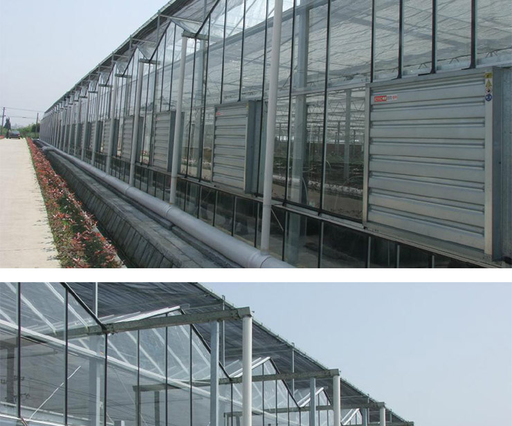 供應(yīng)溫室大棚骨架建造，2015年新型溫室大棚骨架，石家莊溫室大鵬