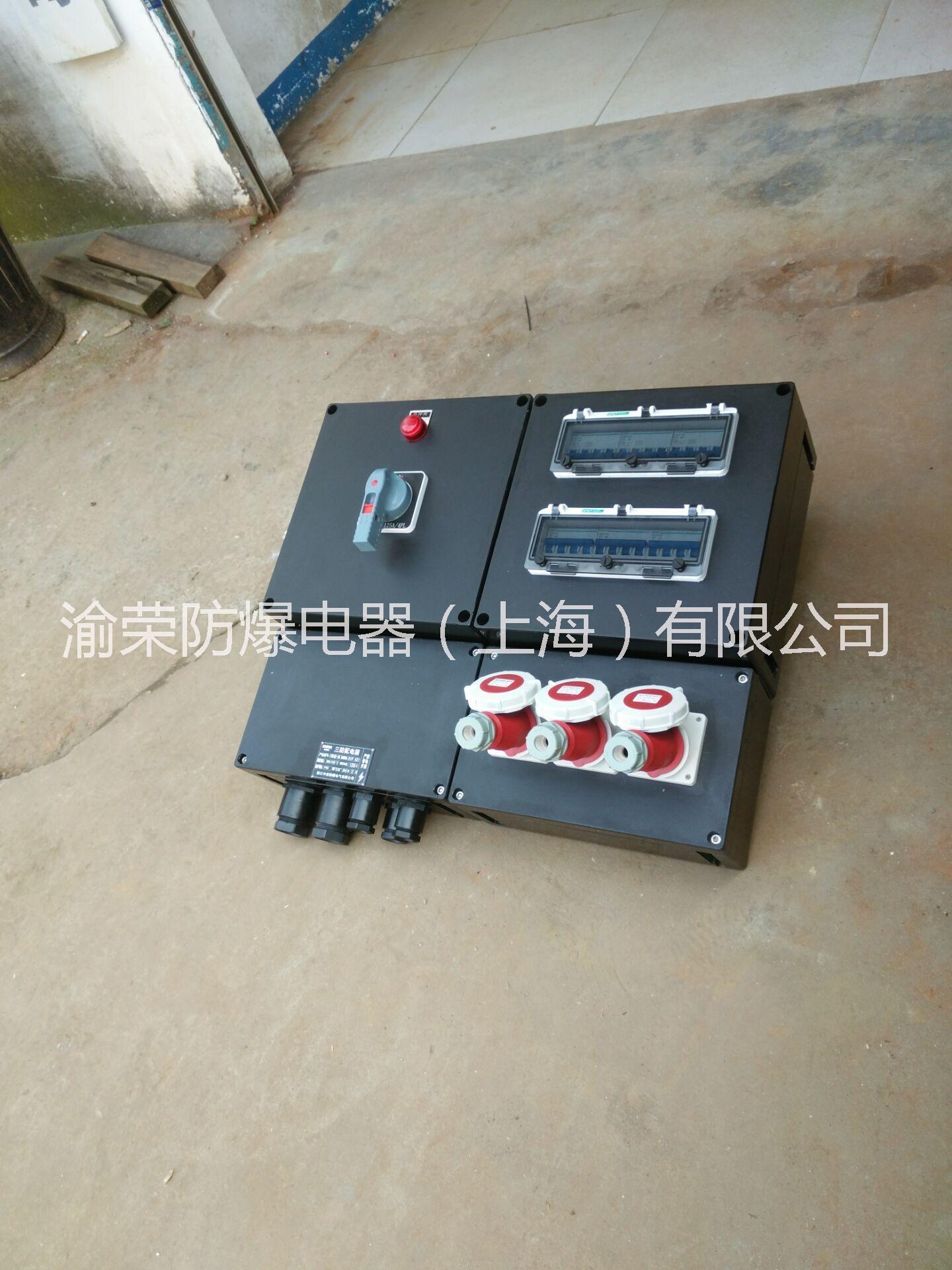 供應(yīng)福建省三明市專業(yè)防爆防腐配電箱  防爆防腐配電箱定做