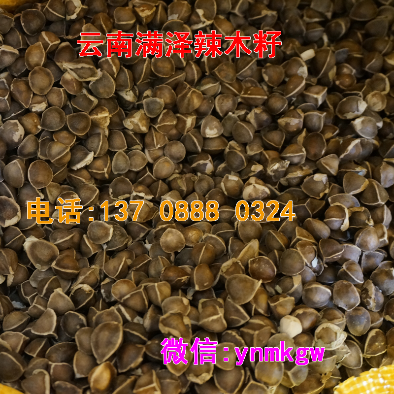 *非洲辣木籽*糖尿病，非洲辣木籽的功效與作用買房子辣木籽批發(fā)價(jià)格，非洲進(jìn)口辣木籽純*辣木籽/辣木種子