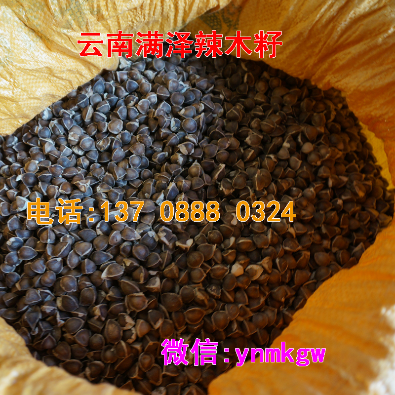 *非洲辣木籽*糖尿病，非洲辣木籽的功效與作用買房子辣木籽批發(fā)價(jià)格，非洲進(jìn)口辣木籽純*辣木籽/辣木種子